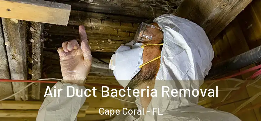 Air Duct Bacteria Removal Cape Coral - FL
