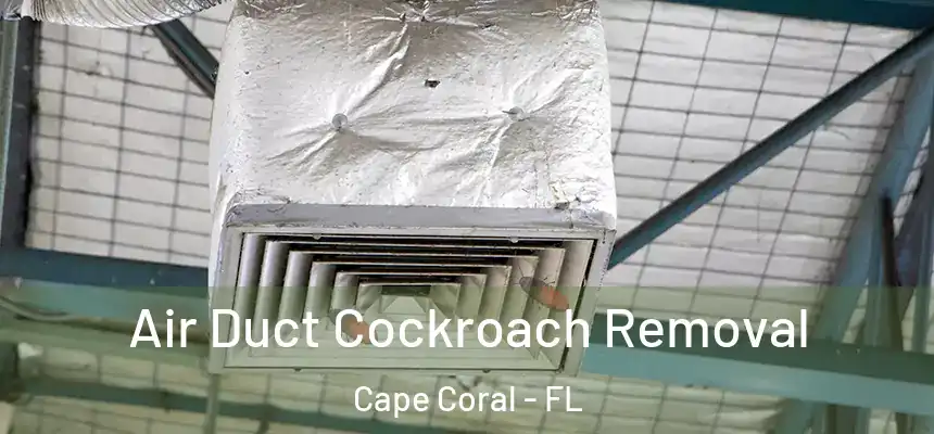 Air Duct Cockroach Removal Cape Coral - FL
