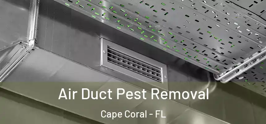 Air Duct Pest Removal Cape Coral - FL
