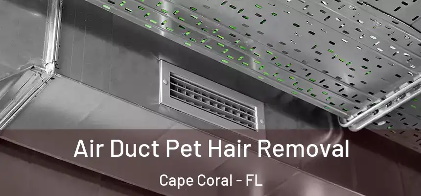 Air Duct Pet Hair Removal Cape Coral - FL