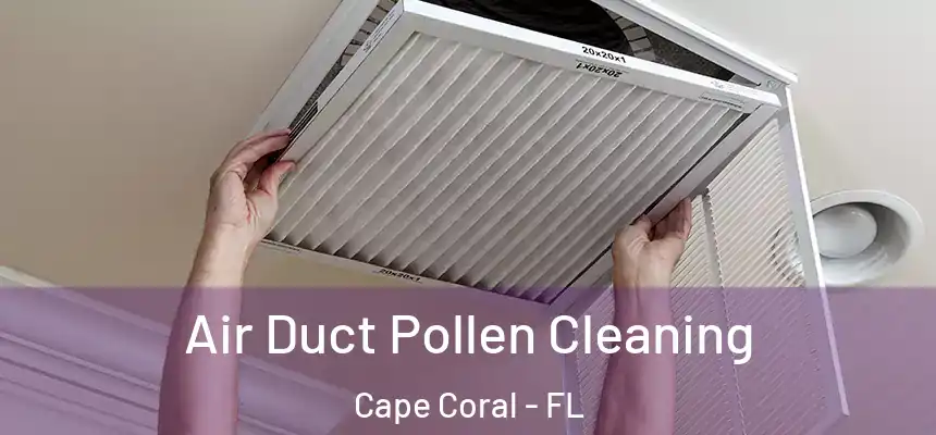 Air Duct Pollen Cleaning Cape Coral - FL