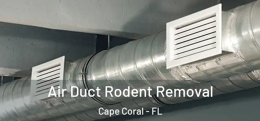 Air Duct Rodent Removal Cape Coral - FL