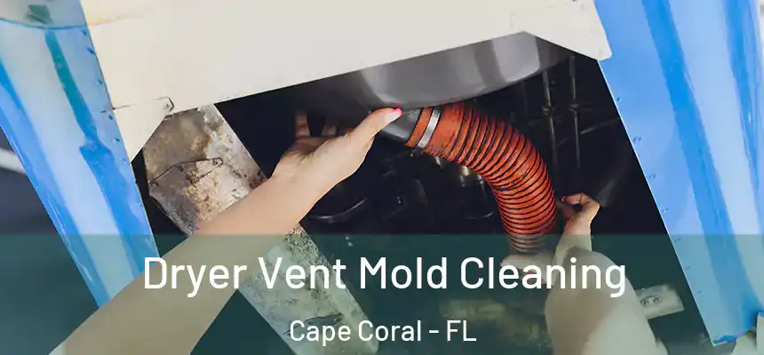 Dryer Vent Mold Cleaning Cape Coral - FL