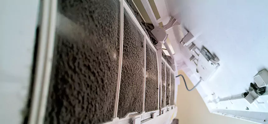 Preventive Air Duct Bacteria Removal in Cape Coral