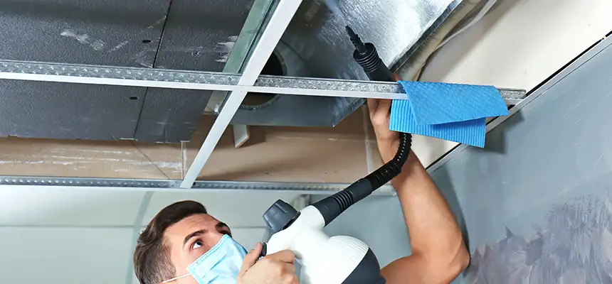 Our Air Duct Rodent Removal Services in Cape Coral, FL
