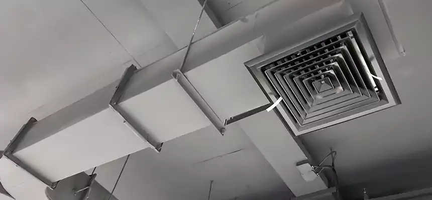 Restorative Allergy Relief Vent Cleaning – Coil, Blower & Housing Detail in Cape Coral