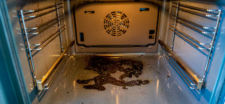 Our Dryer Vent Mold Cleaning Services in Cape Coral, FL