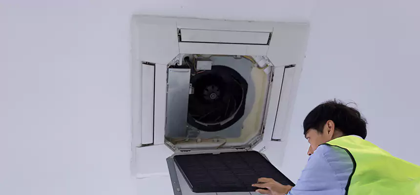 Our Dryer Vent Sanitization Service Services in Cape Coral, FL