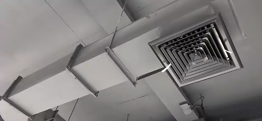 Our Pest Removal From Ducts Services in Cape Coral, FL