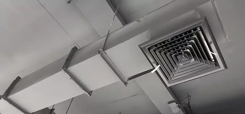 Our Rodent Droppings In Vents Services in Cape Coral, FL