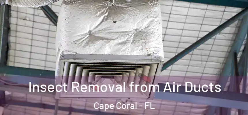 Insect Removal from Air Ducts Cape Coral - FL