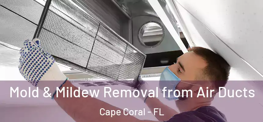 Mold & Mildew Removal from Air Ducts Cape Coral - FL