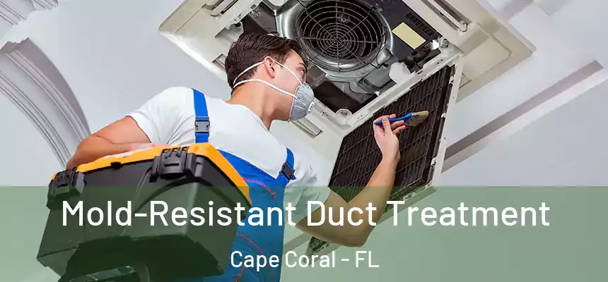Mold-Resistant Duct Treatment Cape Coral - FL