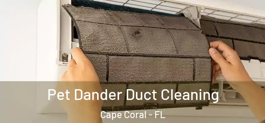 Pet Dander Duct Cleaning Cape Coral - FL
