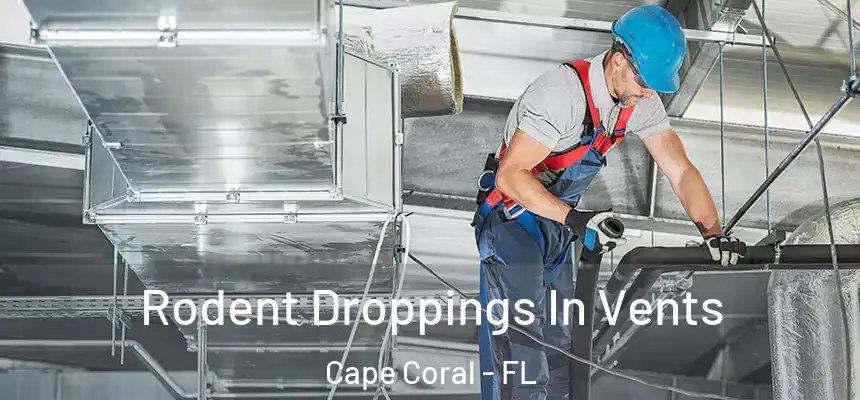 Rodent Droppings In Vents Cape Coral - FL