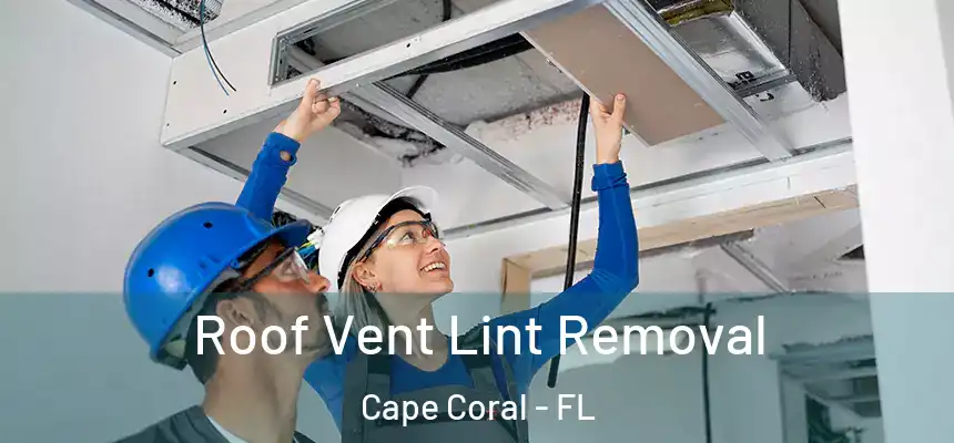 Roof Vent Lint Removal Cape Coral - FL