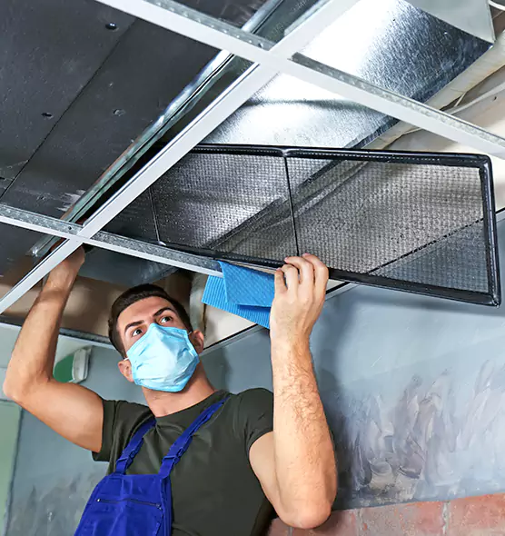 About Air Duct Bacteria Removal in Cape Coral