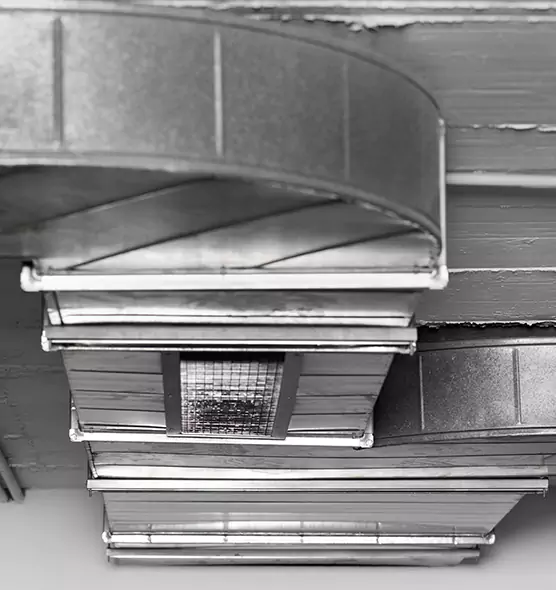 Professional Air Duct Pet Hair Removal in Cape Coral, FL