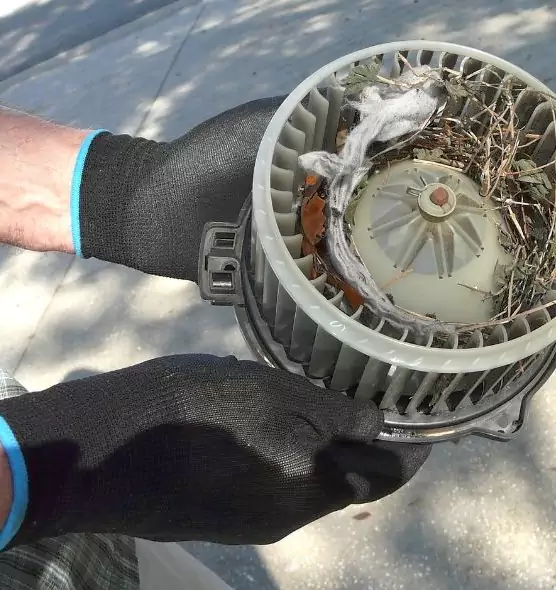 About Air Duct Rat Removal in Cape Coral, FL