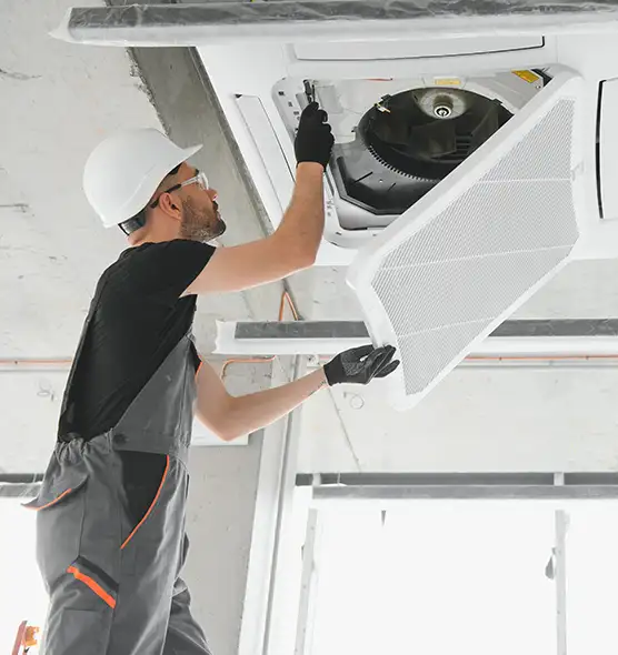 About Air Duct Rodent Removal in Cape Coral, FL