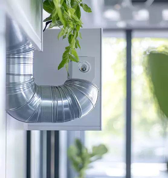 Professional Eco-Friendly Duct Cleaning Services in Cape Coral, FL