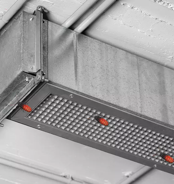 Affordable Insect Removal from Air Ducts in Cape Coral, FL
