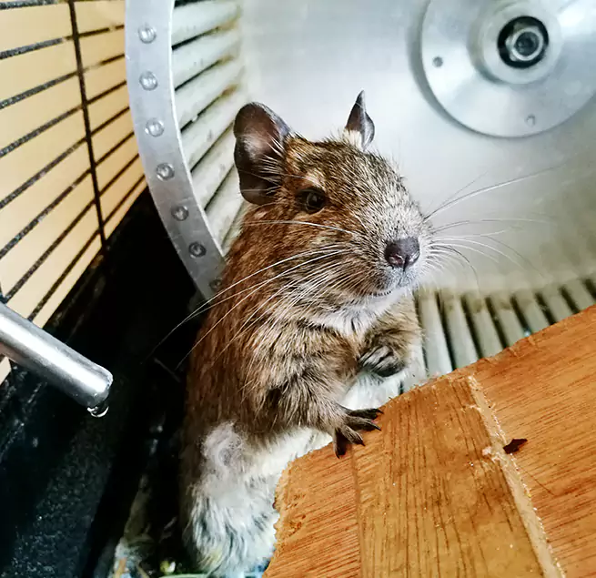 Why Homeowners & Businesses Trust Us Cape Coral, FL