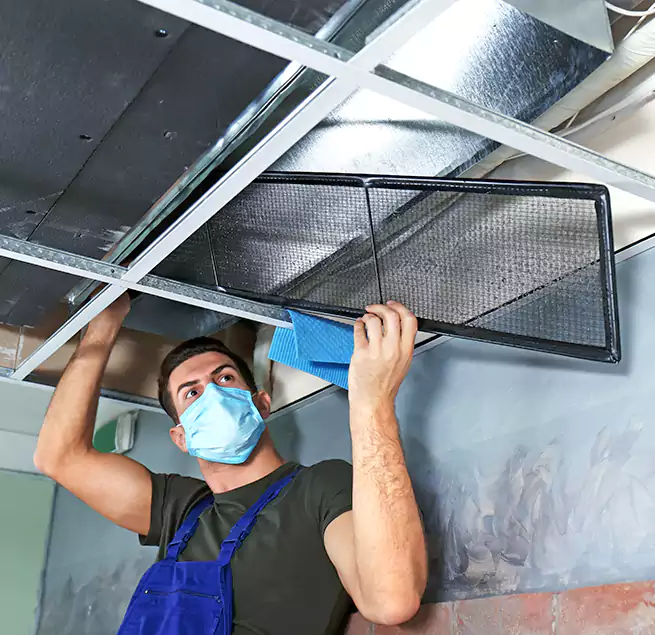 Why Homeowners Businesses Trust Us in Cape Coral, FL