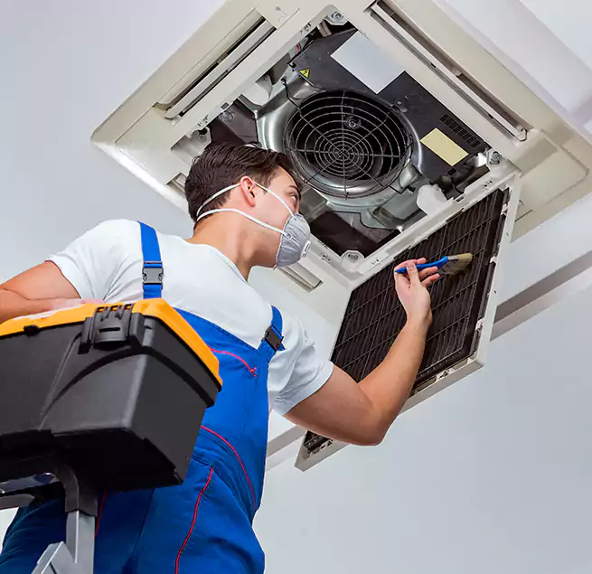 Why Homeowners & Businesses Trust Us in Cape Coral, FL