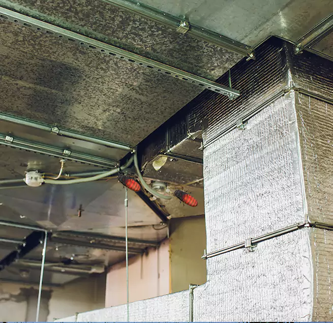 Why Homeowners & Businesses Trust Us Cape Coral, FL?