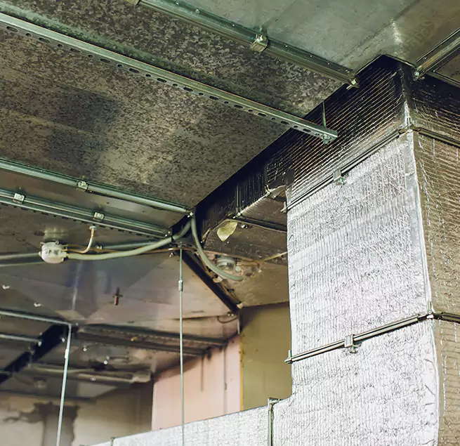 Why Homeowners & Businesses Trust Us in Cape Coral, FL?